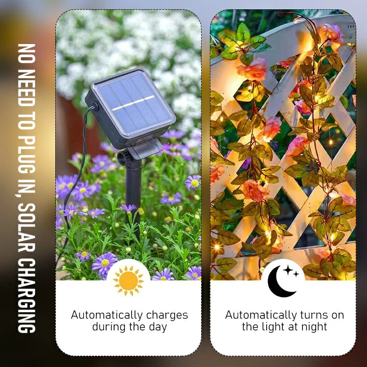 Light Up Love❤️❤️ – Waterproof Solar Rose Vines
